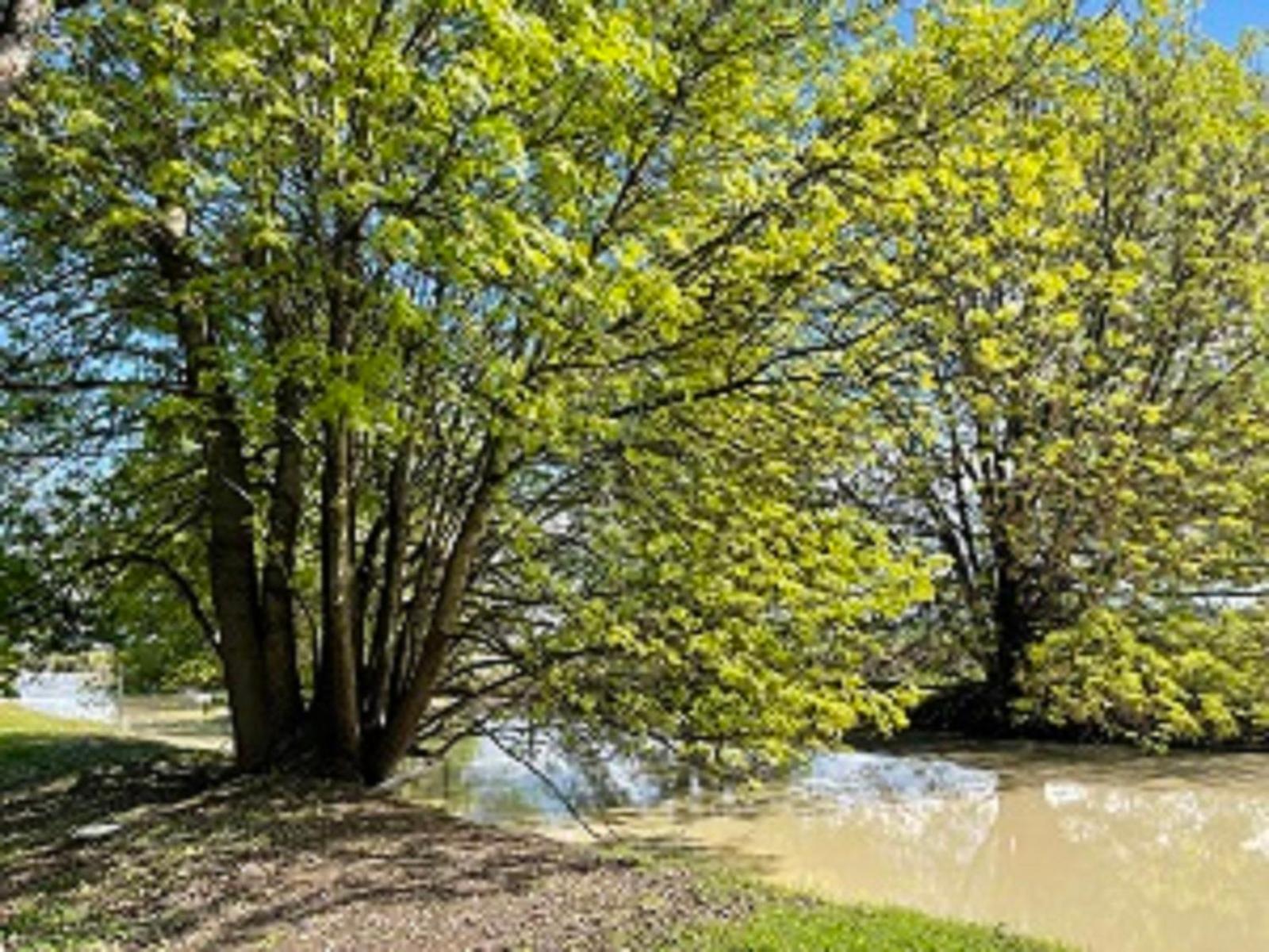 Kerang Holiday Park 외부 사진